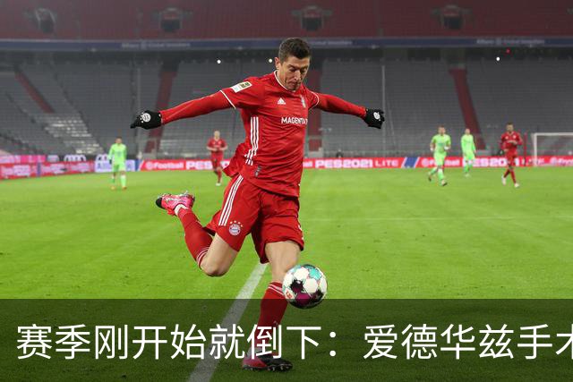 赛季刚开始就倒下：爱德华兹手术，雷霆两将同日重伤